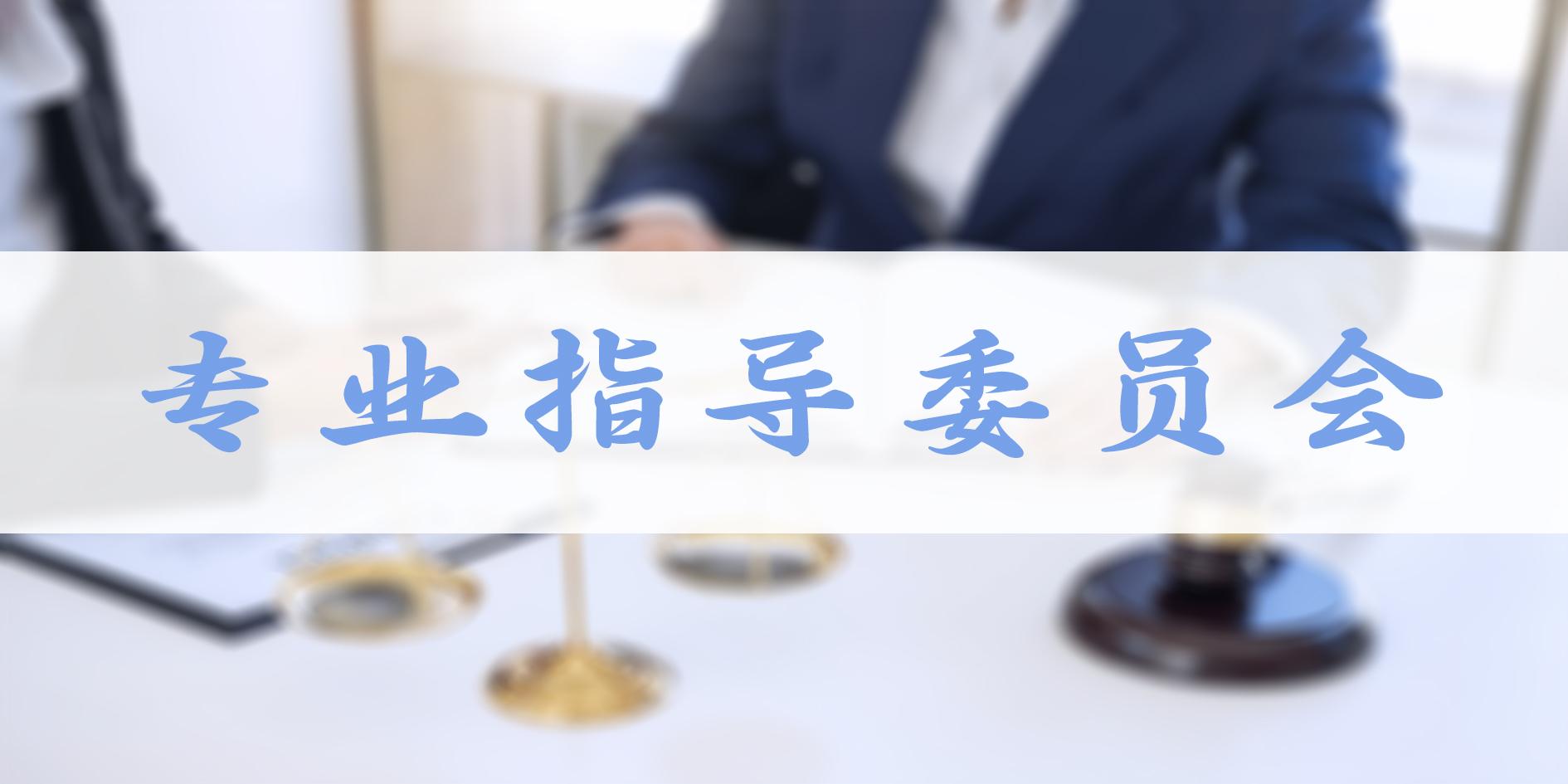 專業(yè)指導(dǎo)委員會